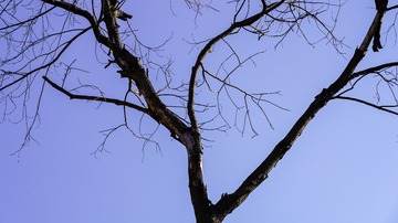 910E981C-29E6-42CA-AB0C-9EA40402BA7E/L0/001