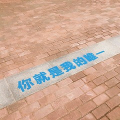 Optional(