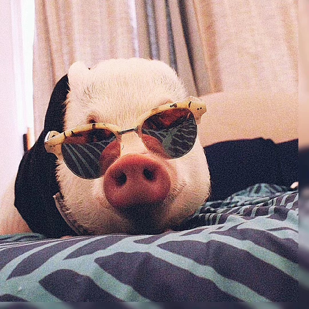 今日头像年轻人你耗汁尾汁