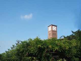 164993