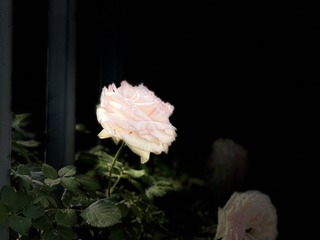 3CC0208F-12C1-4CA9-8083-89249B415AB9/L0/001