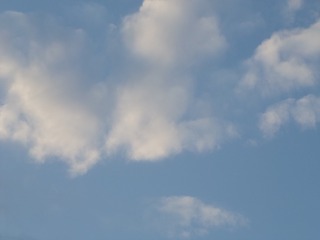 1603993
