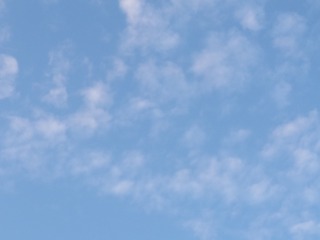1603991