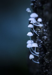 PIC_7580