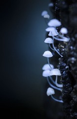 PIC_7580