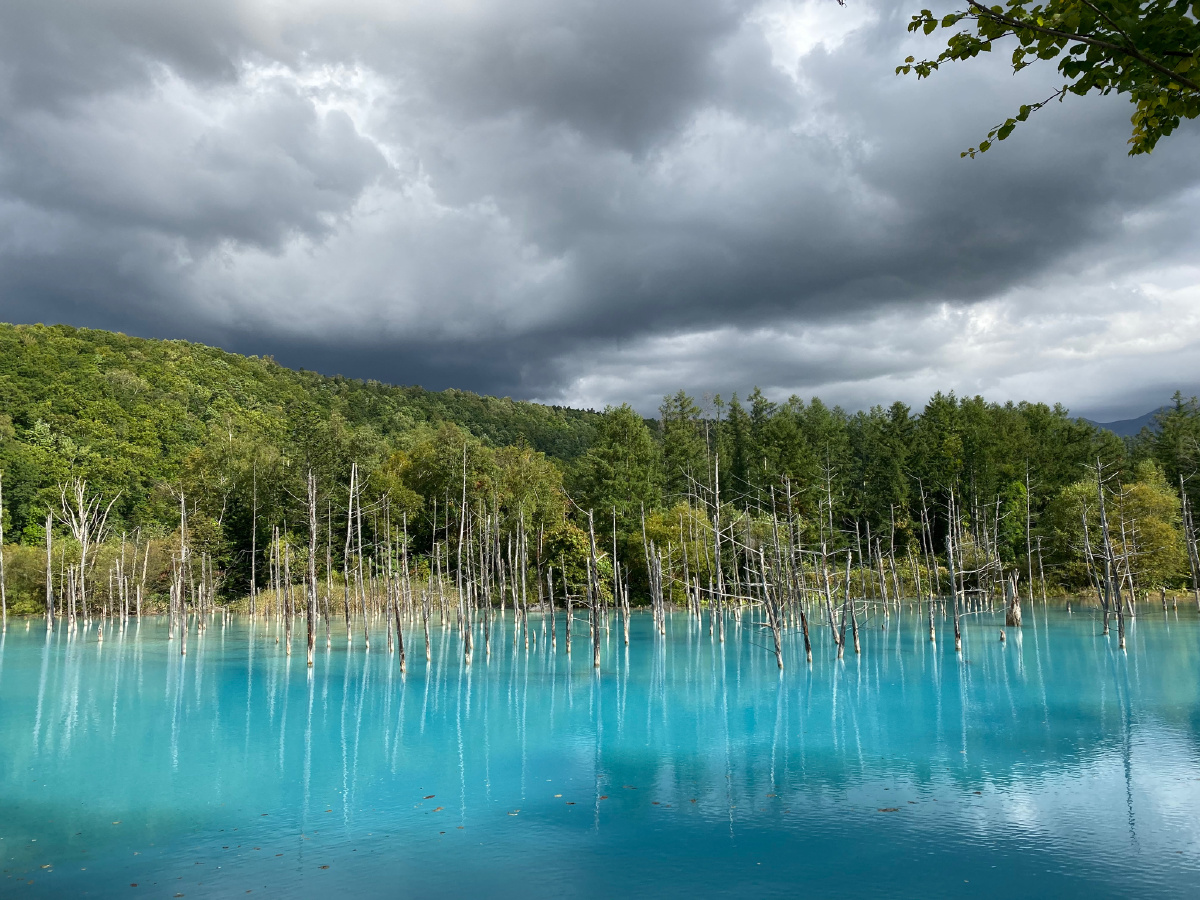 阴天的北海道美瑛