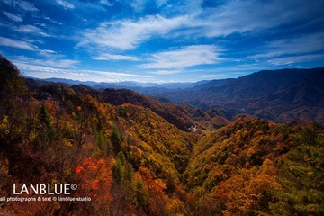 IMG_8489.jpg