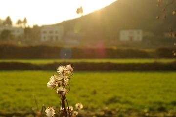 DSC_3217.jpg