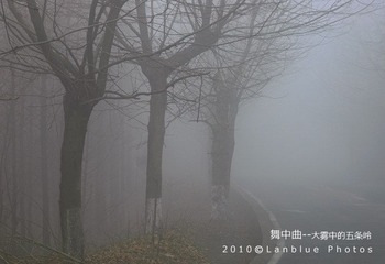 大雾