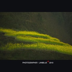 又到花开时