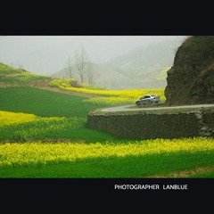 又到花开时