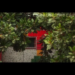 上津