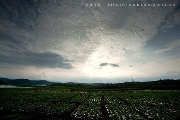 家乡