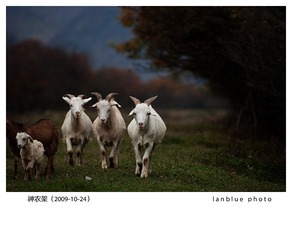 神农架18