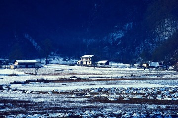 DSC_0487.jpg