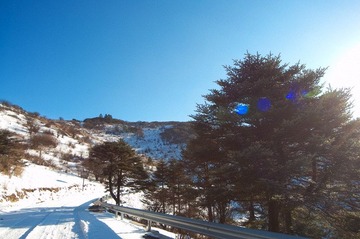 DSC_0348.jpg
