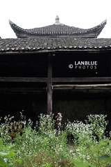 lang