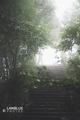 摄友
