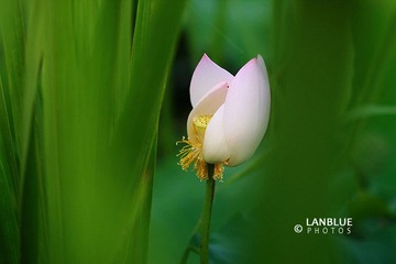 荷3