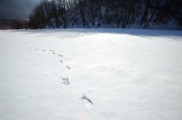 LAN_8421