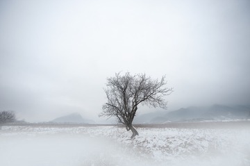 LAN_1309