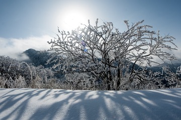 LAN_0903