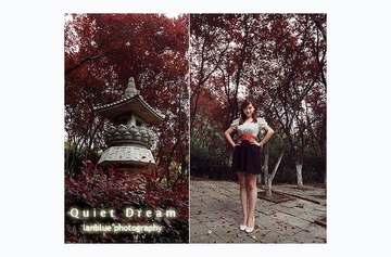 quiet  dream 1