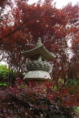 quiet  dream 6