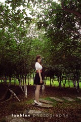 quiet  dream 10
