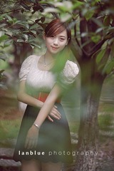 quiet  dream 11