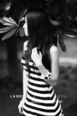 meet summer 3