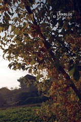 郧县9