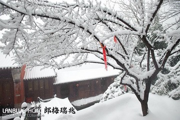 LAN_8457
