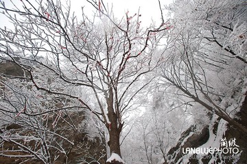 LAN_8470