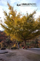 家乡19