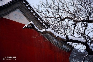 紫霄宫2