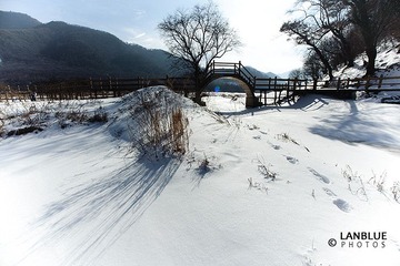LAN_8386