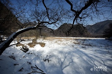 LAN_8440