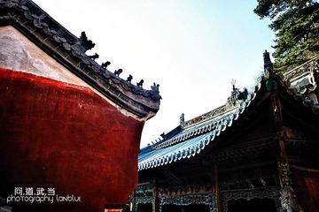 问道武当14