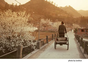 LAN_0049