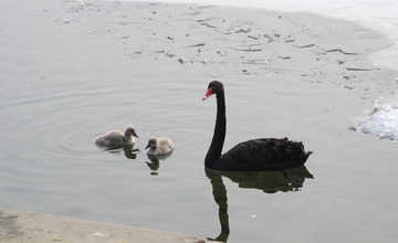 春耕