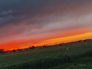 1000015159