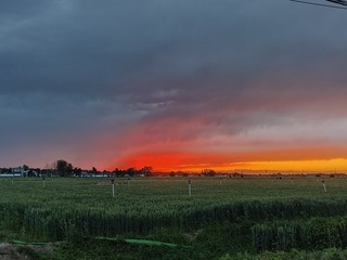 1000015157