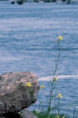 75A4F81C-F520-4DC2-AE4F-24364A3D9A7A/L0/001
