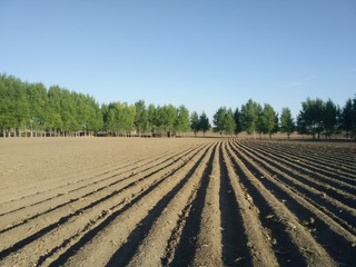 20095