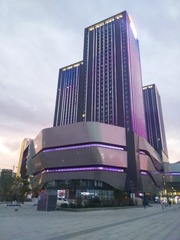 20081
