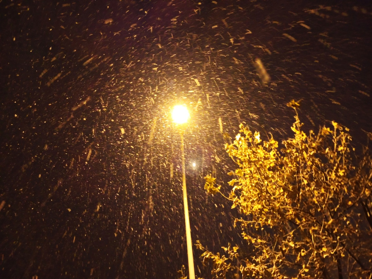 冬雪烟台下雪了灯光下捕捉雪花