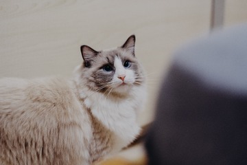 90894