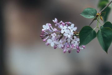 D05268F6-DDEF-4C84-BAF9-1A4C939BE88B/L0/001