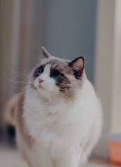90892